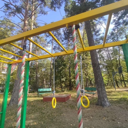 Купить Универсальный спортивный городок для детских площадок SP УГ1 в Вольске 